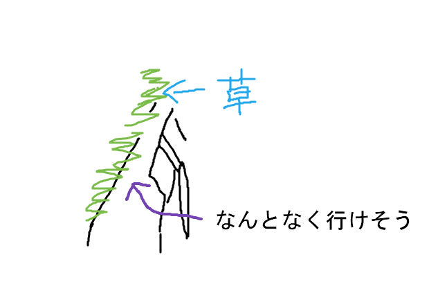 BlogPaint