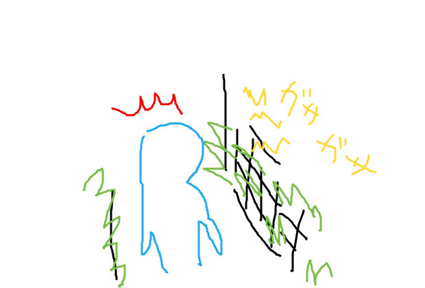 BlogPaint