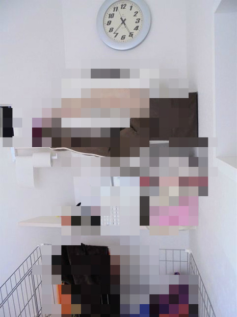 BlogPaint