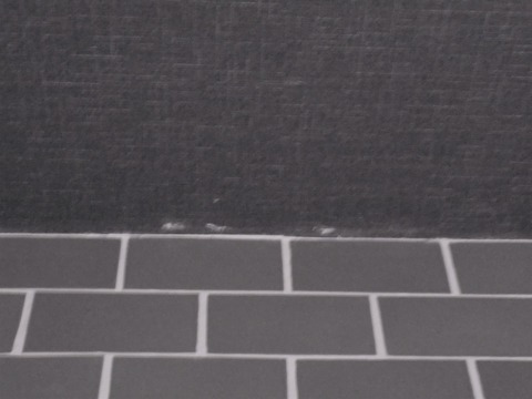 DSC07296