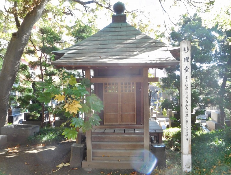 s-DSCN9502