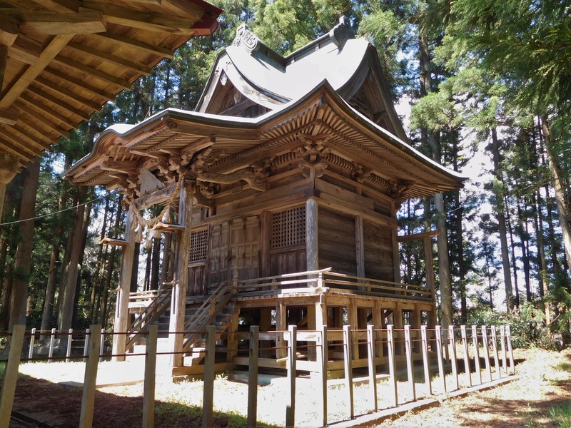 DSCN0360