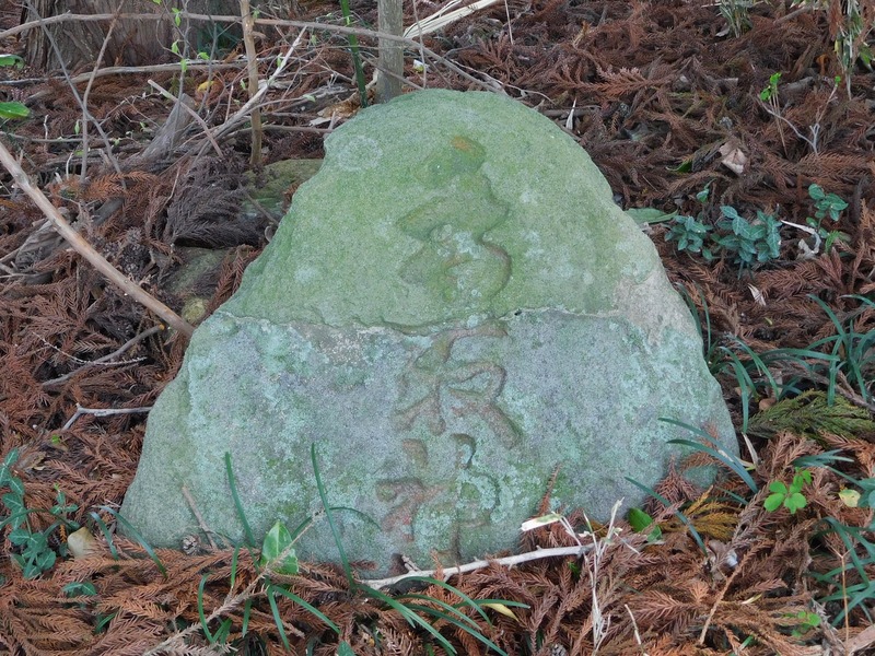 DSCN0289