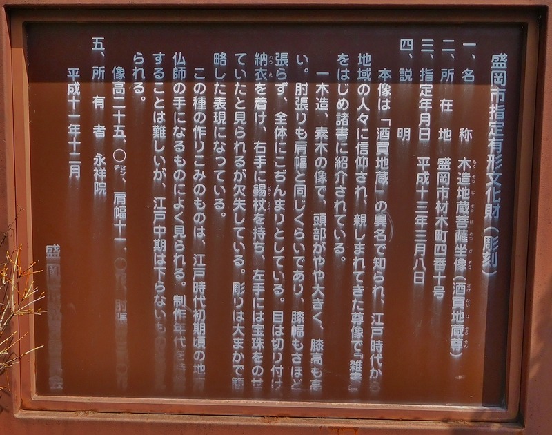 s-100