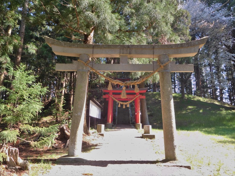 DSCN0274