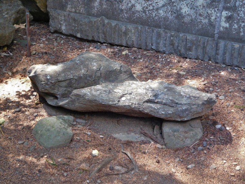 DSCN0371