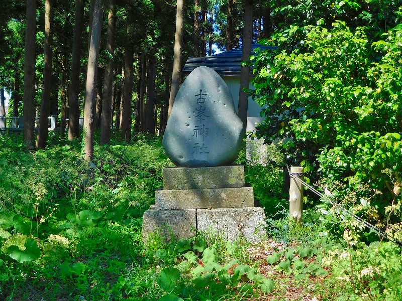 s-131