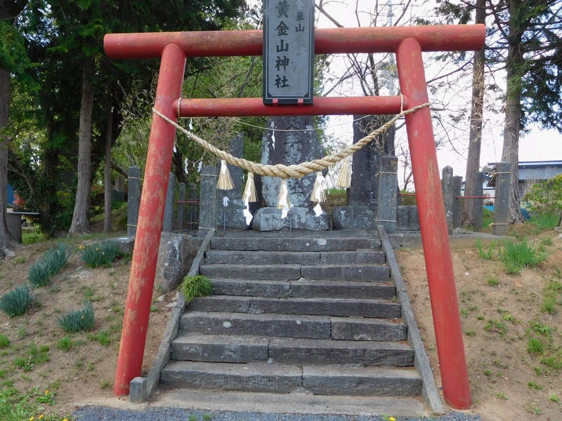 DSCN0366