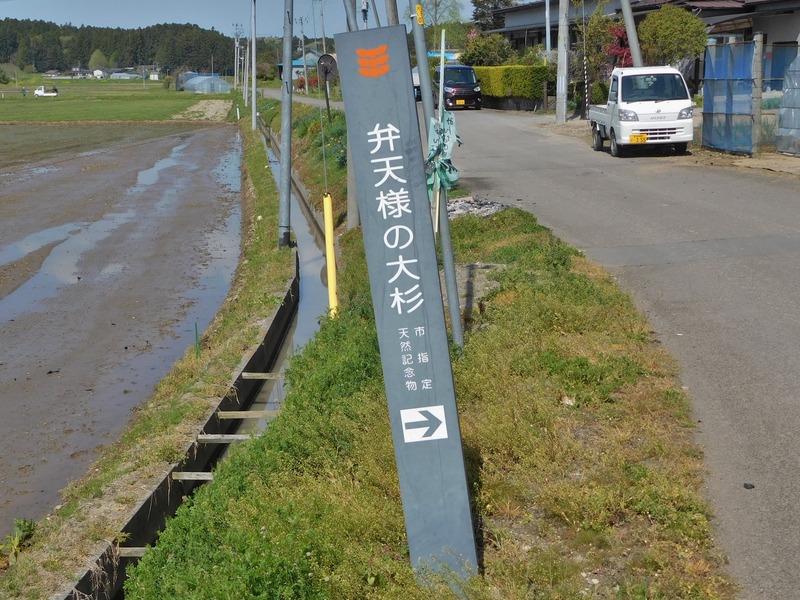 DSCN0285