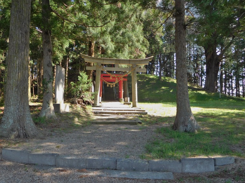 DSCN0273
