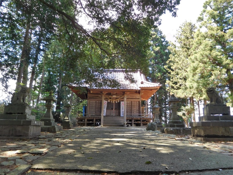 DSCN0374