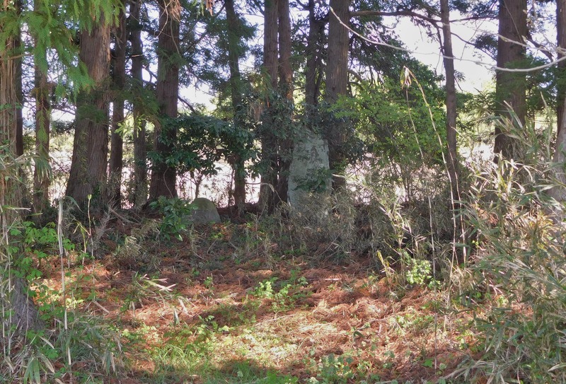 DSCN0287