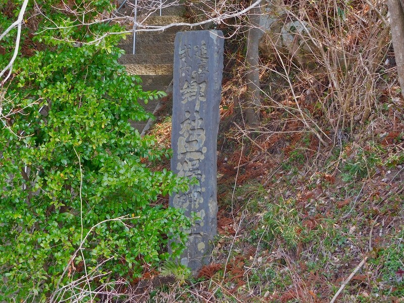 s-DSCN7489
