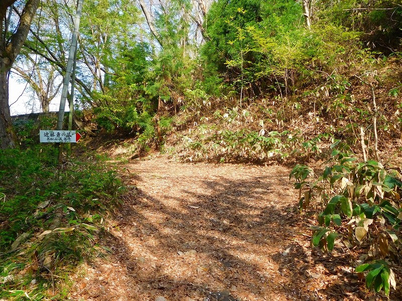 s-021