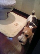 050706_170843_M.jpg