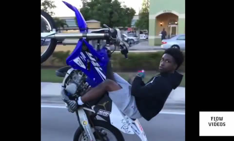 Wheelie Kings Of Miami