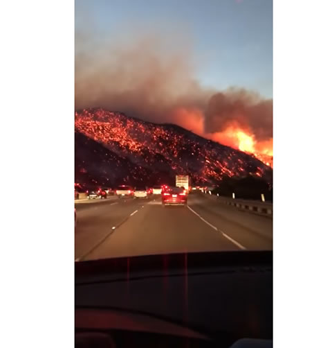 Brentwood Fires in Los Angeles