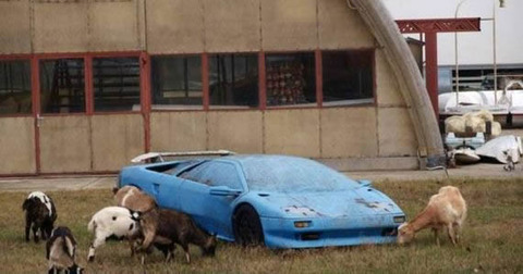 cow_supercar