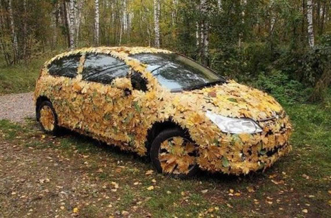 leaf car
