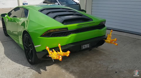 20 Chickens and a Lambo