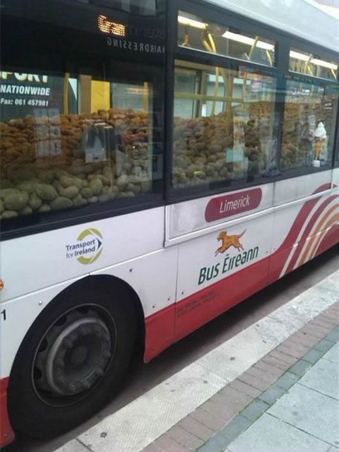 potato_bus