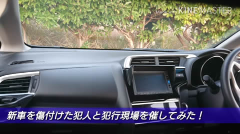 newcar_cat_scratch