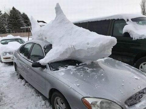 snow_shark