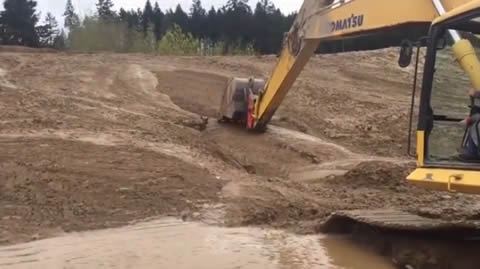Young Deer Rescued From Mud by Excavator Operator