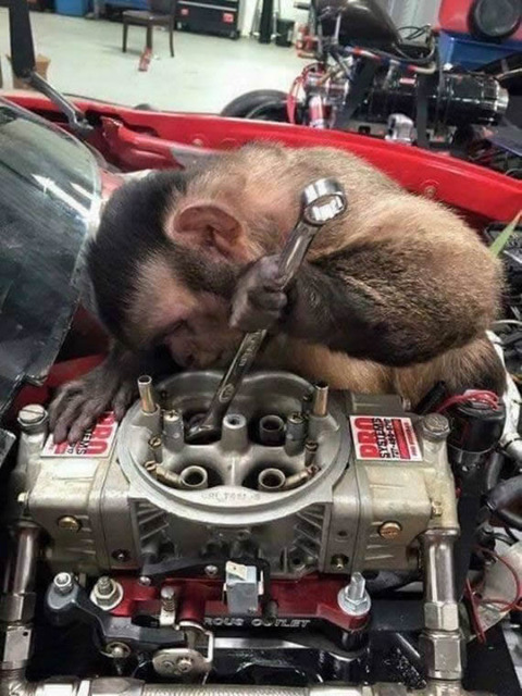 mechanic_monkey