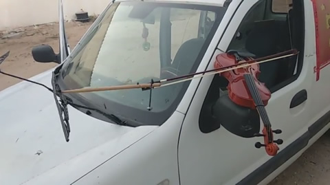 Car Plays the Violin