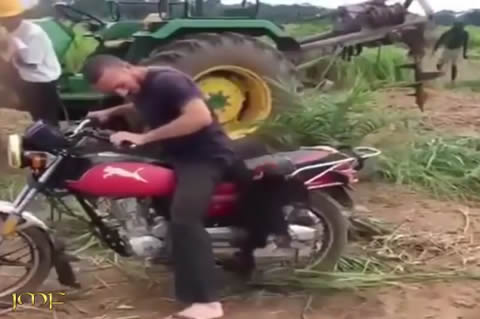 When the Monkey Excited to Ride a Motorcycle