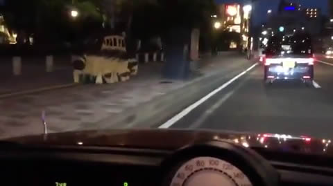 nekobus