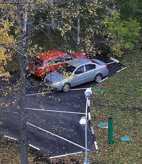 parking_line