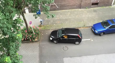 this lady trying to park for six minutes