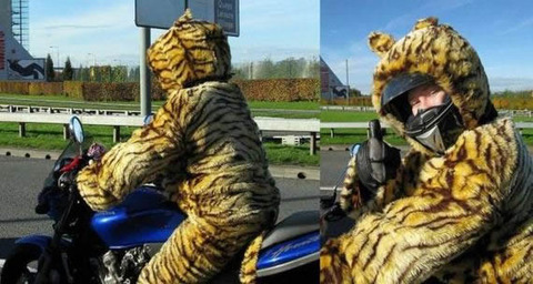 tiger_suits