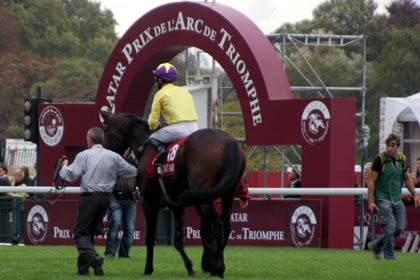 arc20096