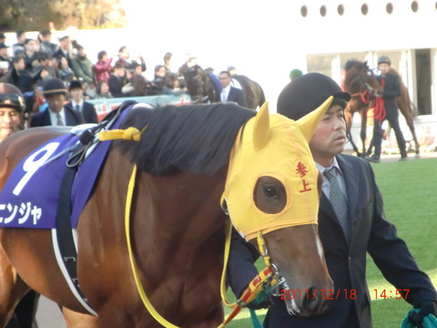 20111218ニンジャ