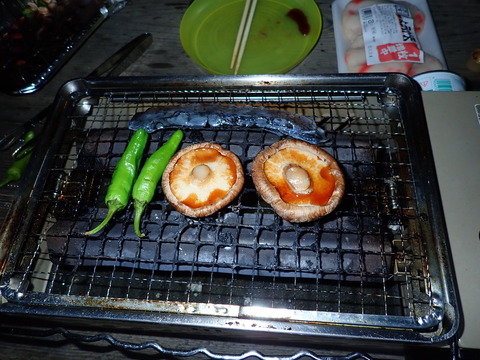 P6251008