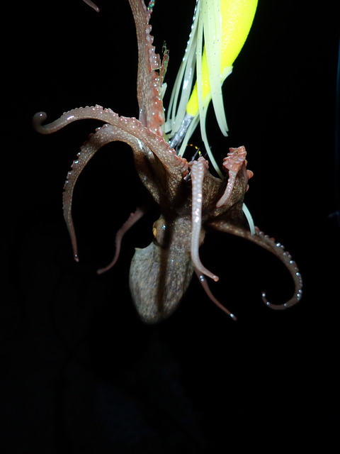 P6250995