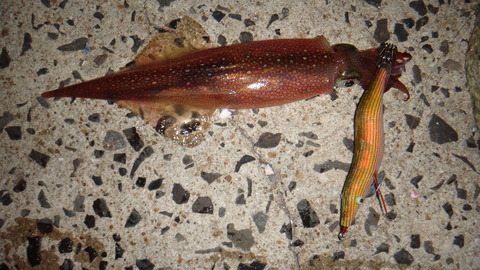 DSC03756