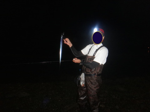 DSC03940