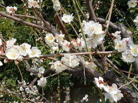 DSC00019