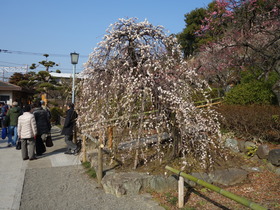 DSC00065