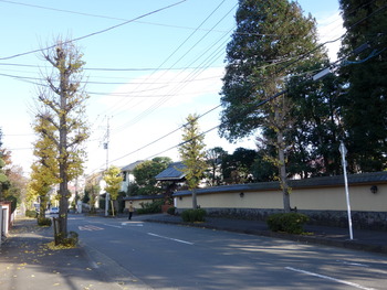 DSC00199