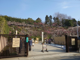 DSC00070