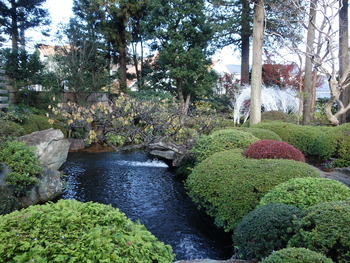 DSC00189