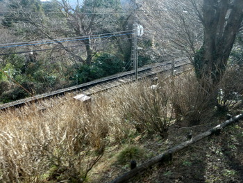 DSC00060