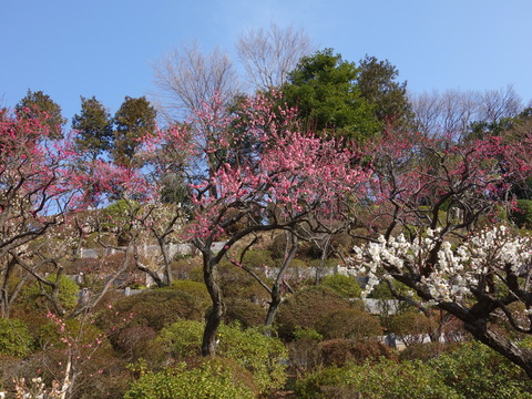 DSC00062
