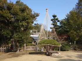 DSC00049