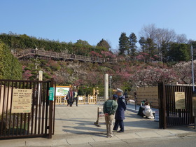 DSC00001